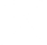 X Icon